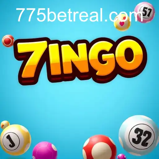 Exploring Bingo Online with 775bet